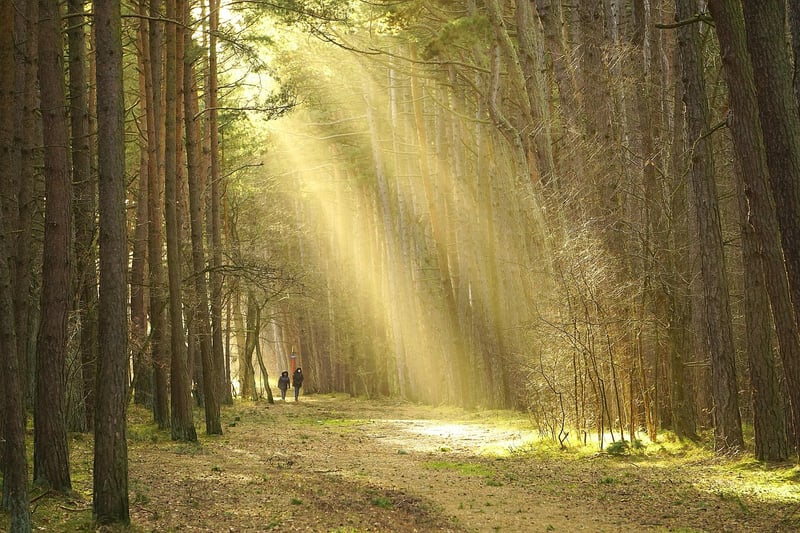 Meditative Walks